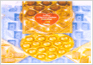 Non Toxic Film for Food Packing